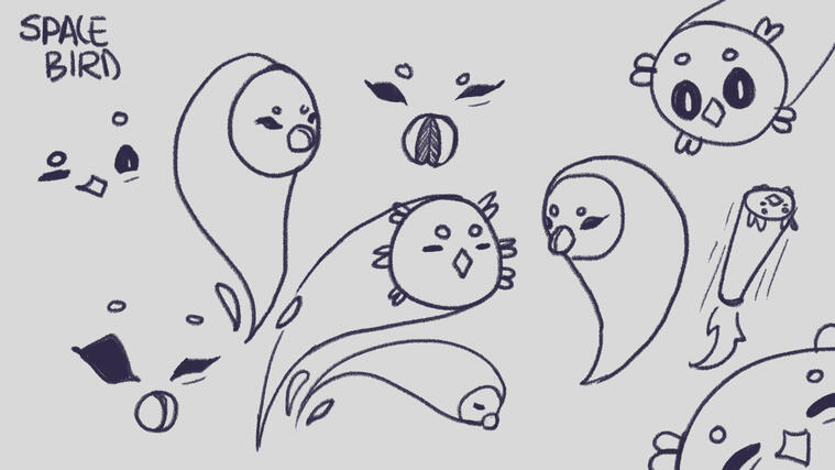 Space Bird Concepts